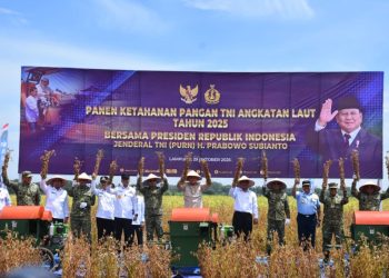 Lanal Lampung Dukung Panen Raya Kedelai, TNI AL Mantapkan Langkah Wujudkan Ketahanan Pangan Nasional
