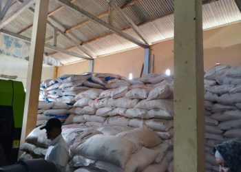 Dinas Pertanian Pringsewu Perketat Pengawasan Harga Pupuk: Kios Bisa Ditutup Jika Jual di Atas Ketentuan