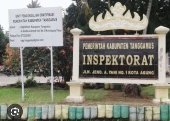Status SK Pejabat Inspektorat Tanggamus Disorot, BKD Belum Beri Kepastian