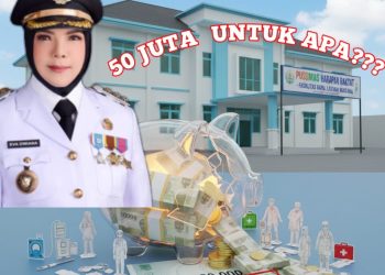 Anggaran Puluhan Miliar Digelontorkan Tapi Warga Belum Dengar Sosialisasi P2KM Dan Pusling, Publik Tunggu Klarifikasi Dinkes Dan Puskes