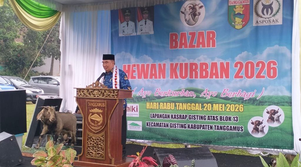 Pemkab Tanggamus Perkuat Sektor Peternakan Lewat Bazar Hewan Qurban 2026