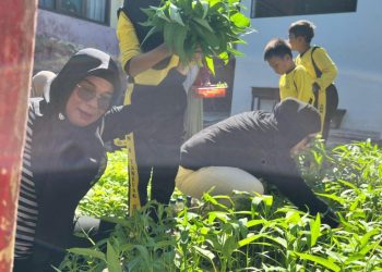 SDN 1 Tanjung Sari Panen Perdana Kebun Sekolah, Hasil Sayur Dibagikan ke Guru dan Siswa