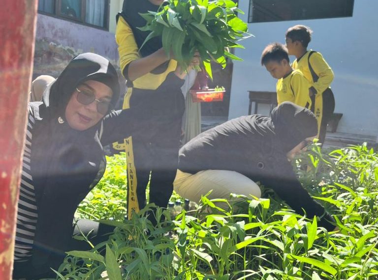 SDN 1 Tanjung Sari Panen Perdana Kebun Sekolah, Hasil Sayur Dibagikan ke Guru dan Siswa