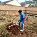SDN 1 Jatimulyo Gaspol Program ABRI, Bikin Sekolah Makin Asri, Bersih, Rapi, dan Indah